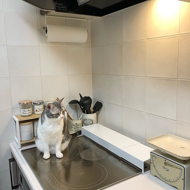Atelier.mさんの実例写真