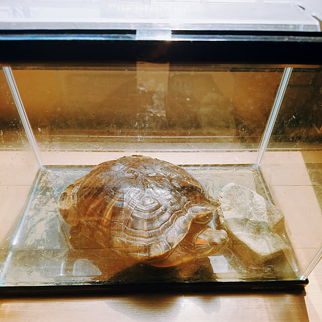 mikoさんの実例写真