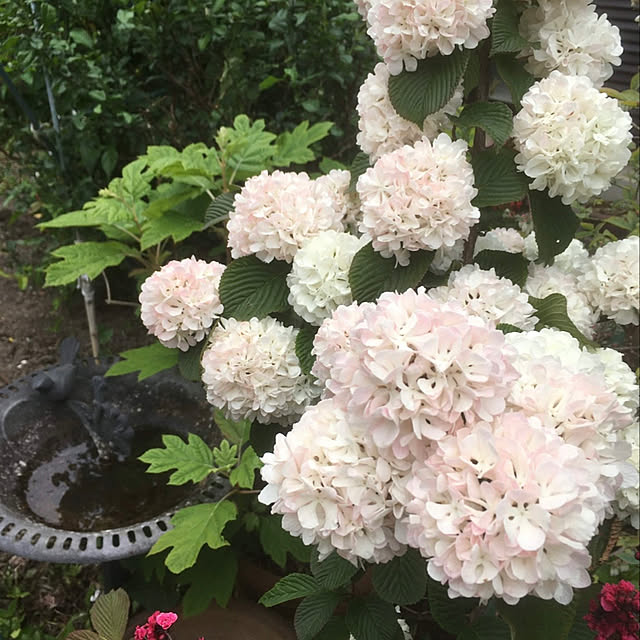 Ryokoさんの実例写真