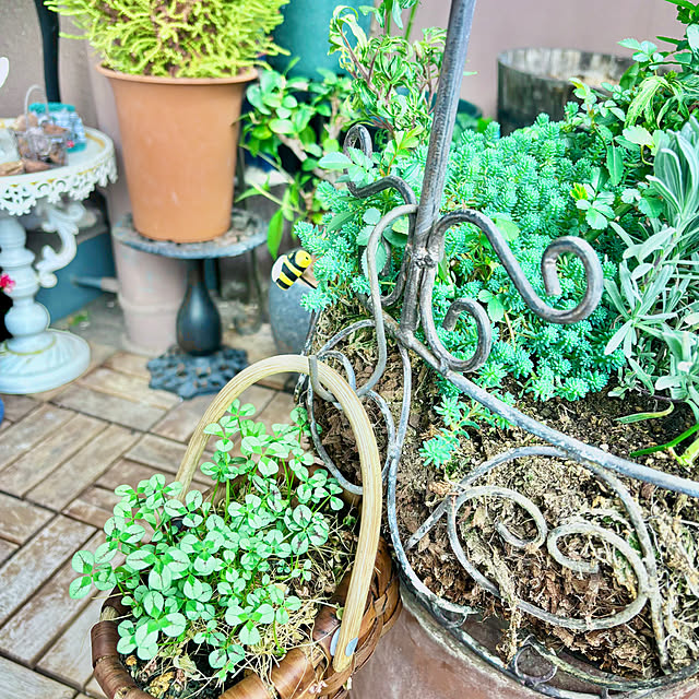 naokoさんの部屋