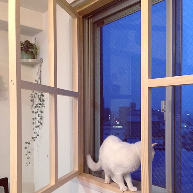 Maruさんの実例写真