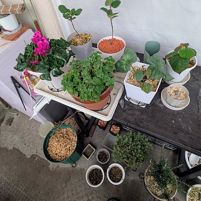 mi-saさんの部屋