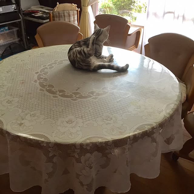 実例写真