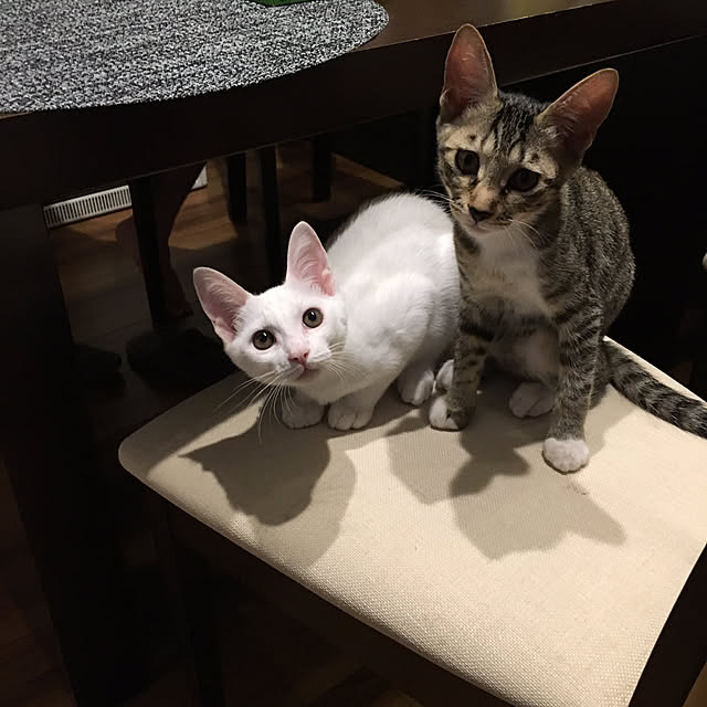 Yuliさんの実例写真