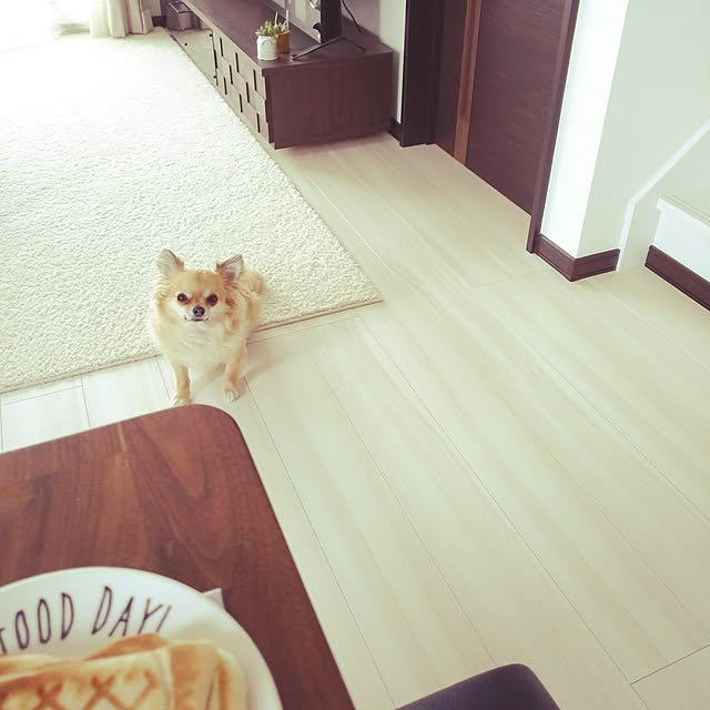 kojikojiさんの実例写真