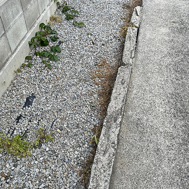 seiさんの実例写真