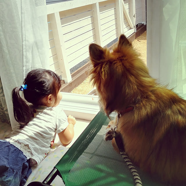 shoco36さんの実例写真