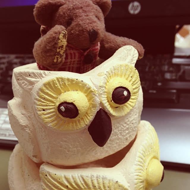 waikato19さんの実例写真