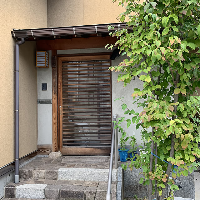 zepekiさんの実例写真