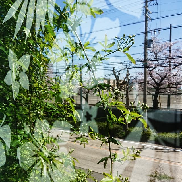 EKさんの実例写真