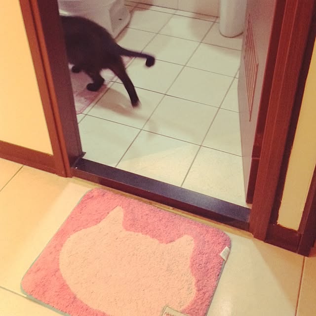 Chia-lingさんの実例写真