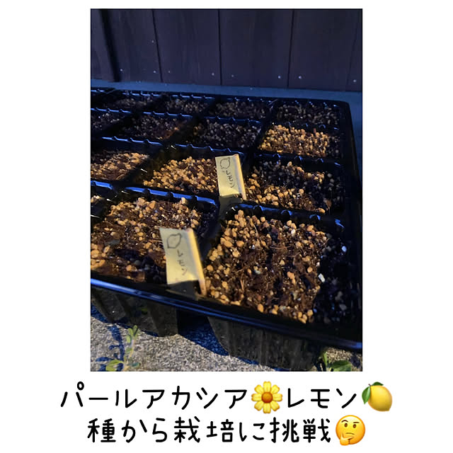 mkk8739hanasakuさんの実例写真