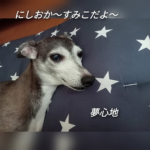 moruさんの部屋