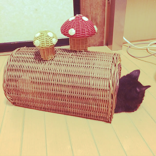 jiluさんの実例写真