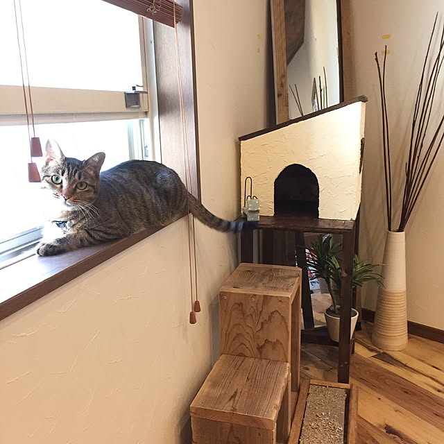 TENPAMさんの実例写真