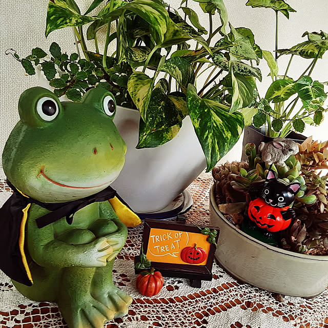 katさんの実例写真