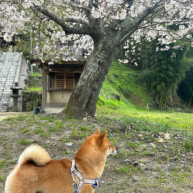 banbinaさんの部屋