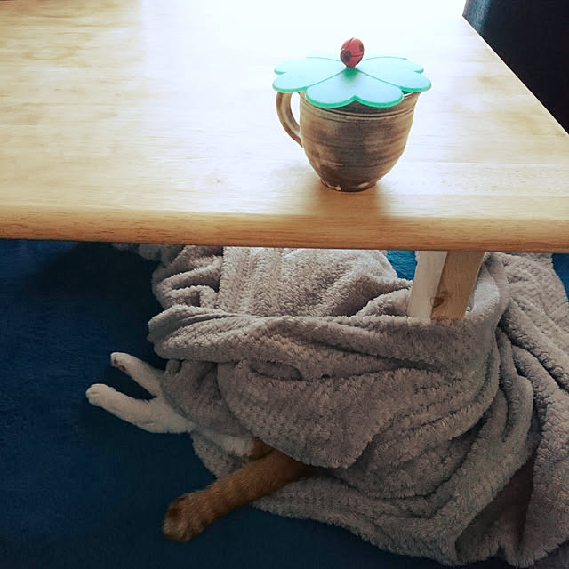 porinさんの実例写真