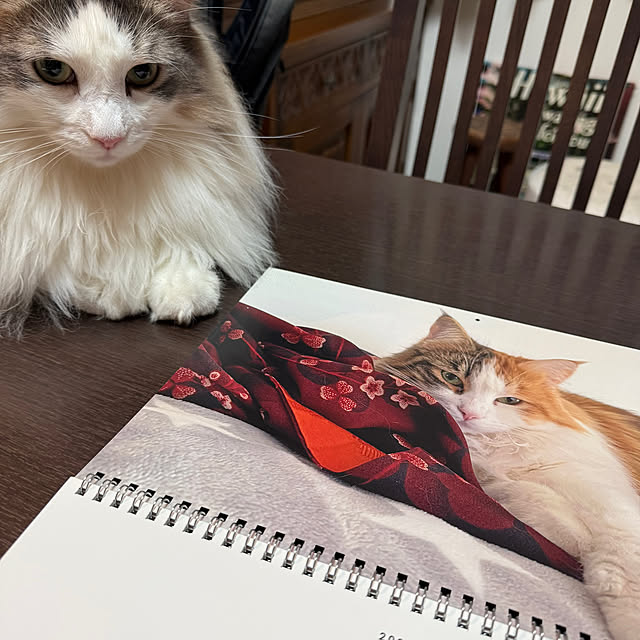 belleさんの実例写真