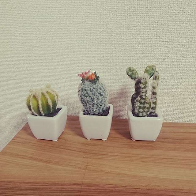 yuuriさんの実例写真