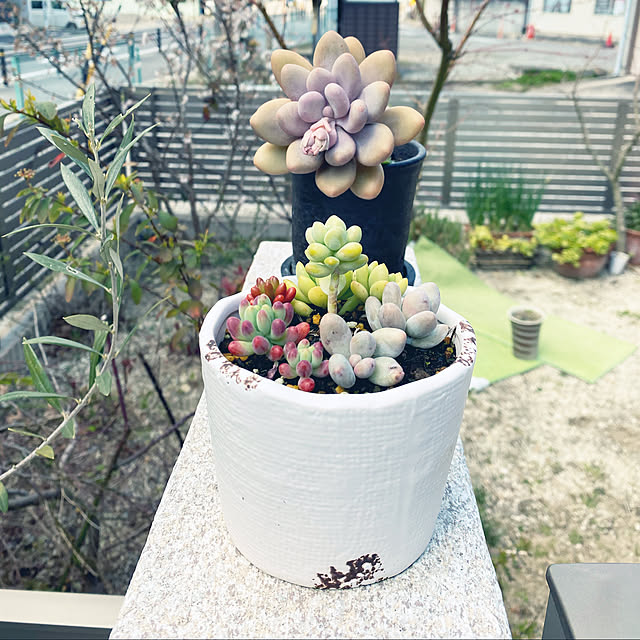 実例写真