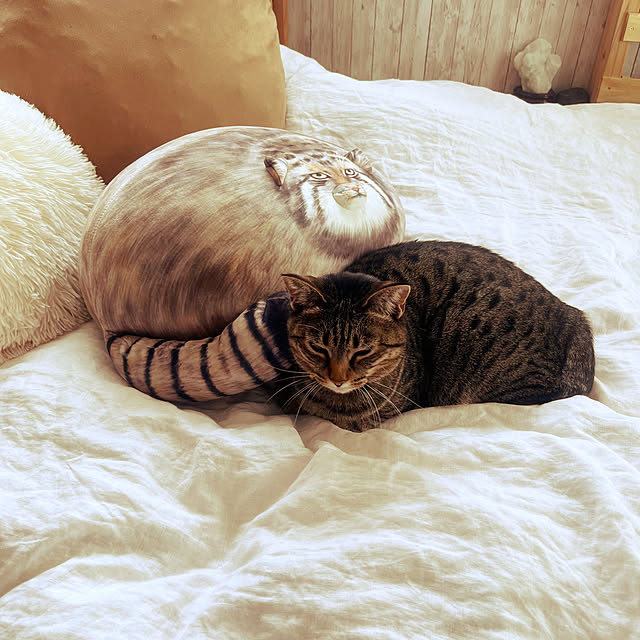 Mさんの実例写真