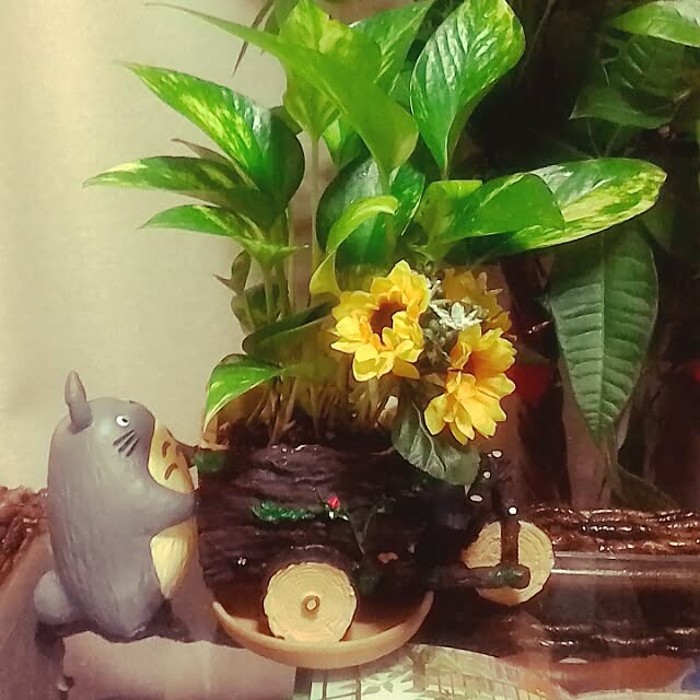 yukariさんの実例写真