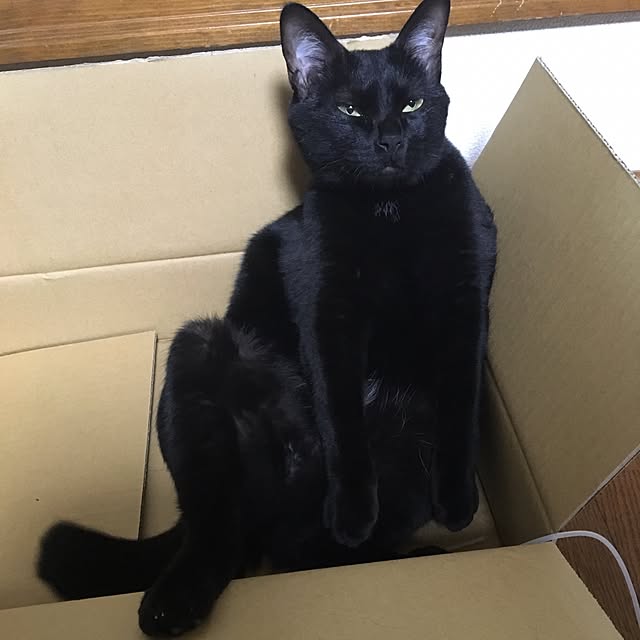 mahi1101さんの実例写真