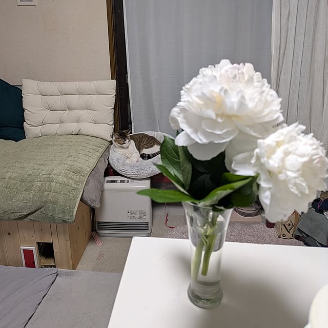 mori_6_12さんの部屋