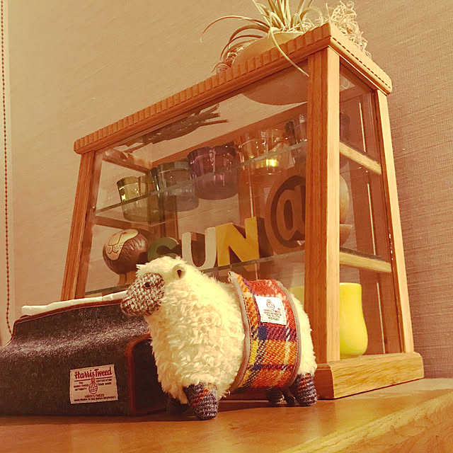 BUNさんの実例写真