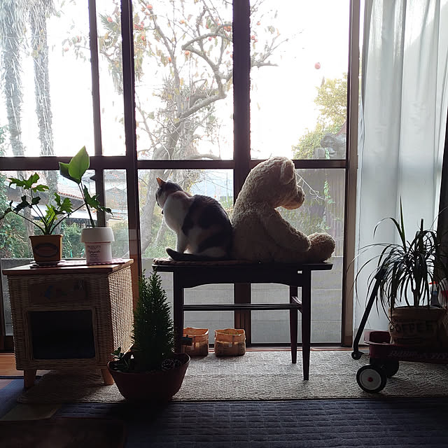 fukuさんの実例写真