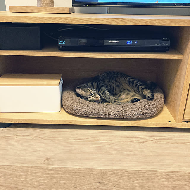 masamasaさんの実例写真