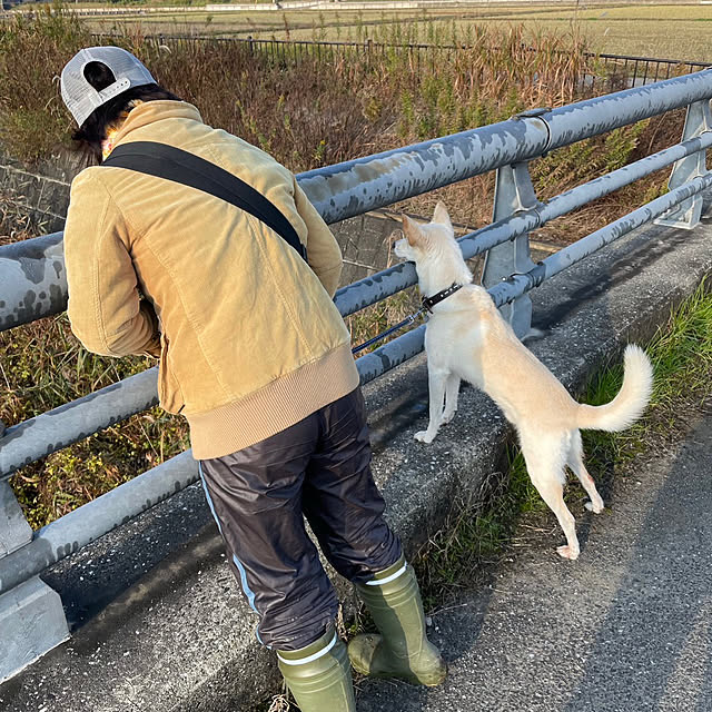 tanboさんの部屋