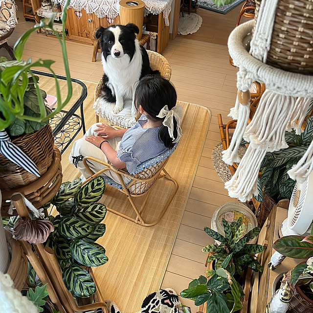 roiさんの実例写真