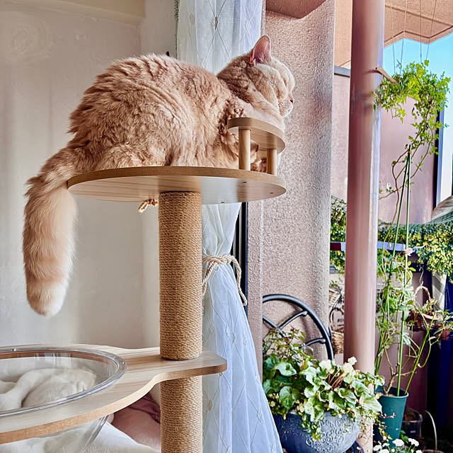 naokoさんの部屋