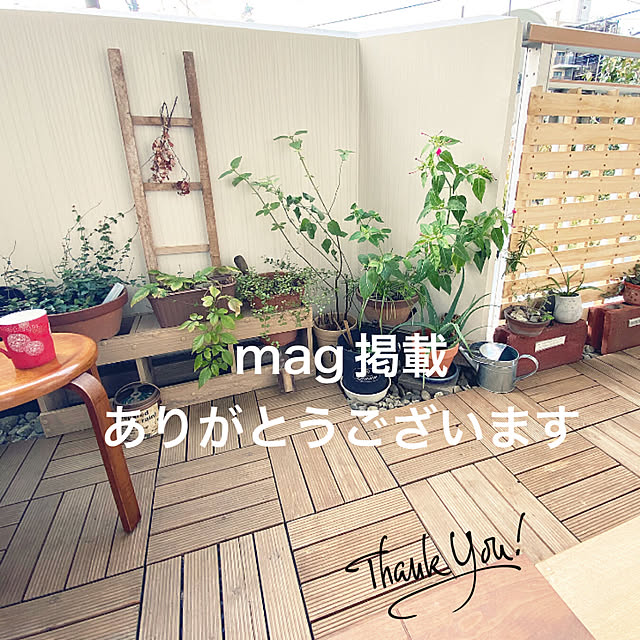 mamiさんの実例写真