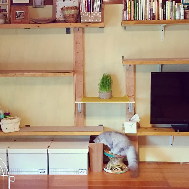 UZURAさんの実例写真