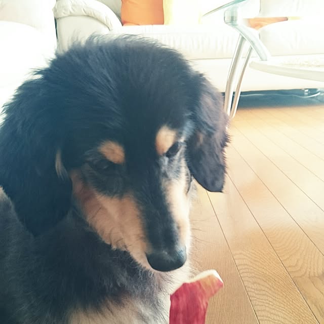 hiyo.pietさんの実例写真