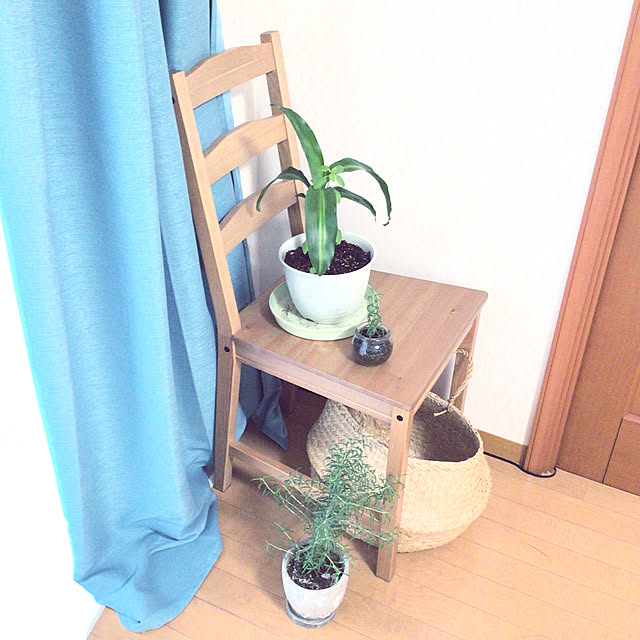 runさんの実例写真
