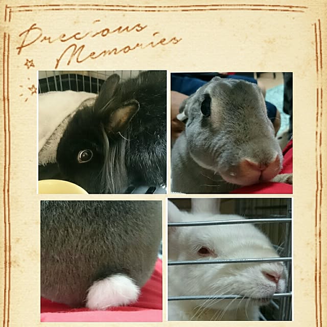 akkoさんの実例写真