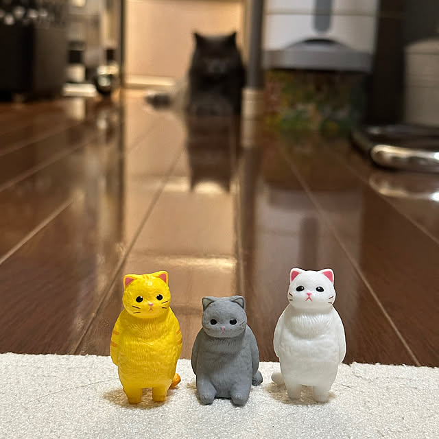 kittyさんの部屋