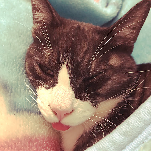 NEREさんの実例写真