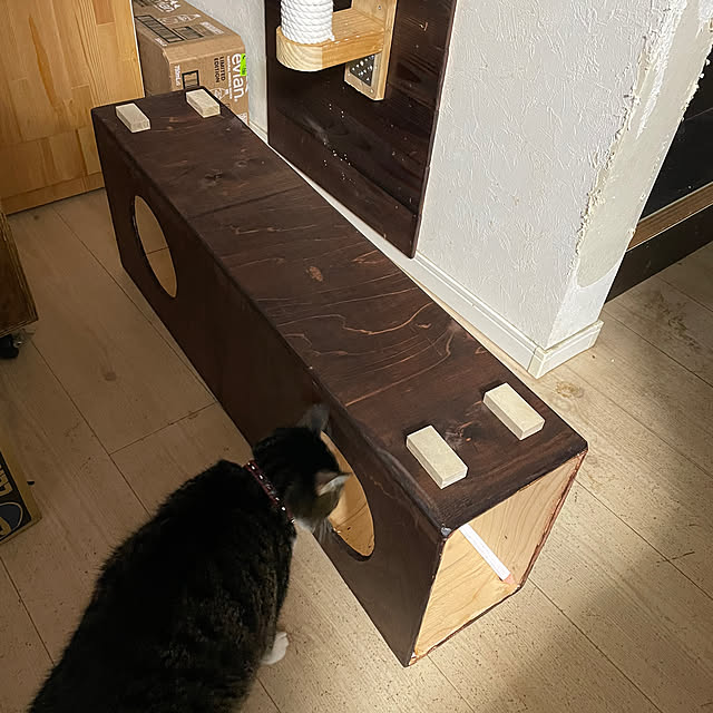 coolcats0528さんの部屋