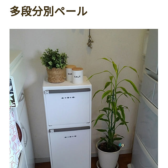 Renさんの実例写真