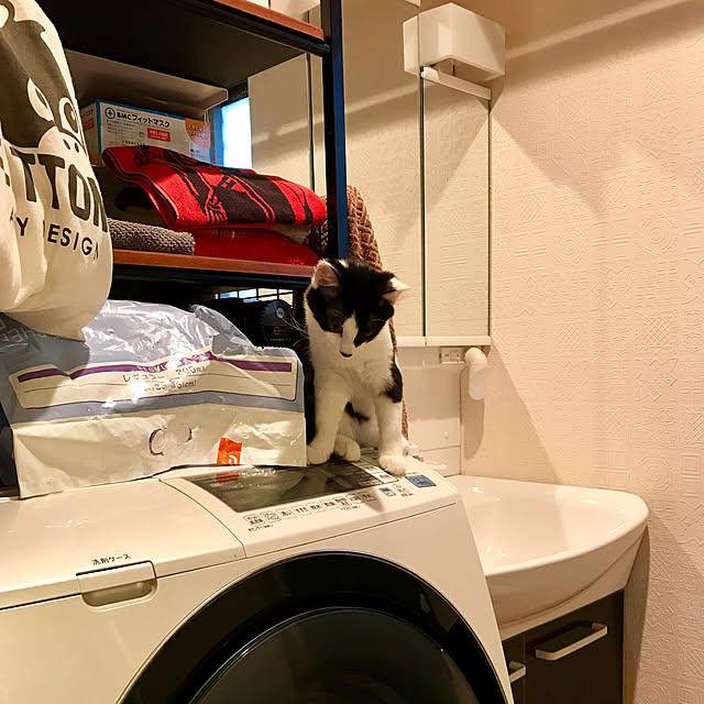 butachanさんの実例写真