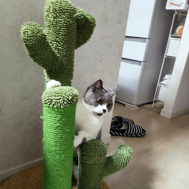 KEIKOさんの実例写真