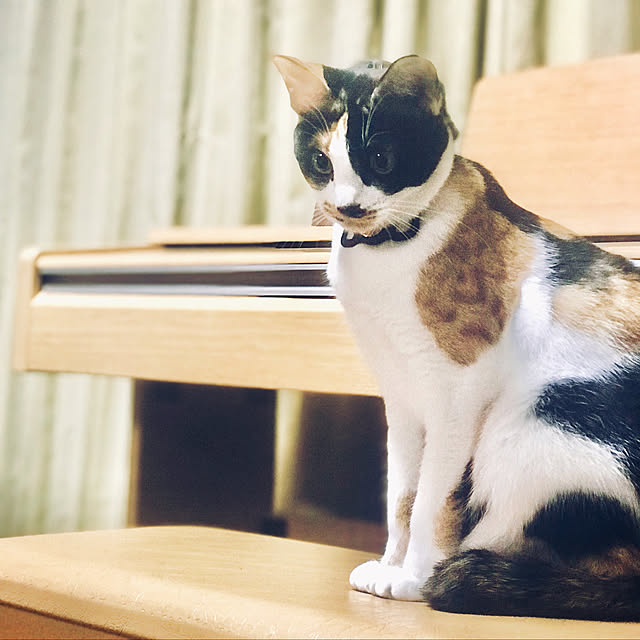 maroさんの実例写真