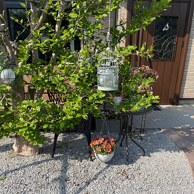 ronronさんの部屋
