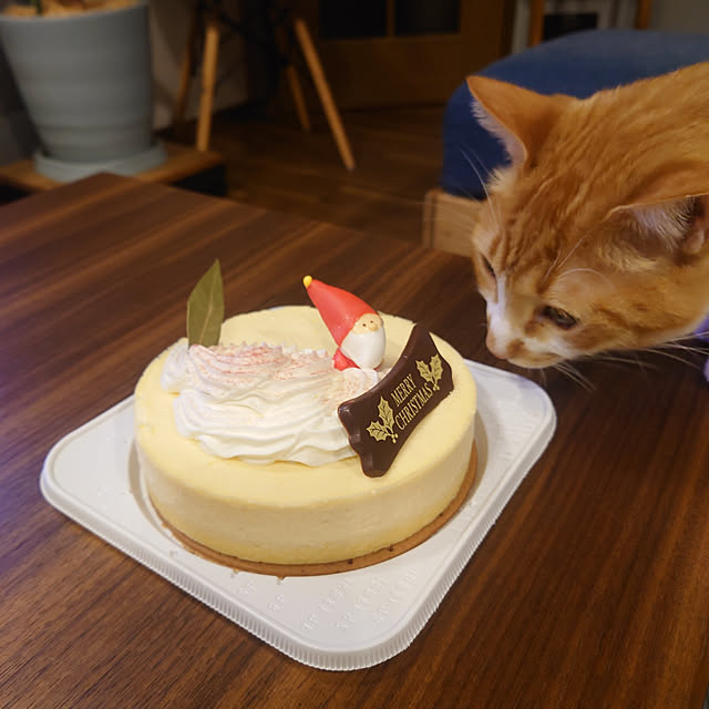 taka-kiさんの実例写真