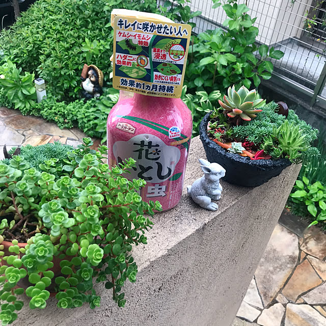 portulacaさんの実例写真